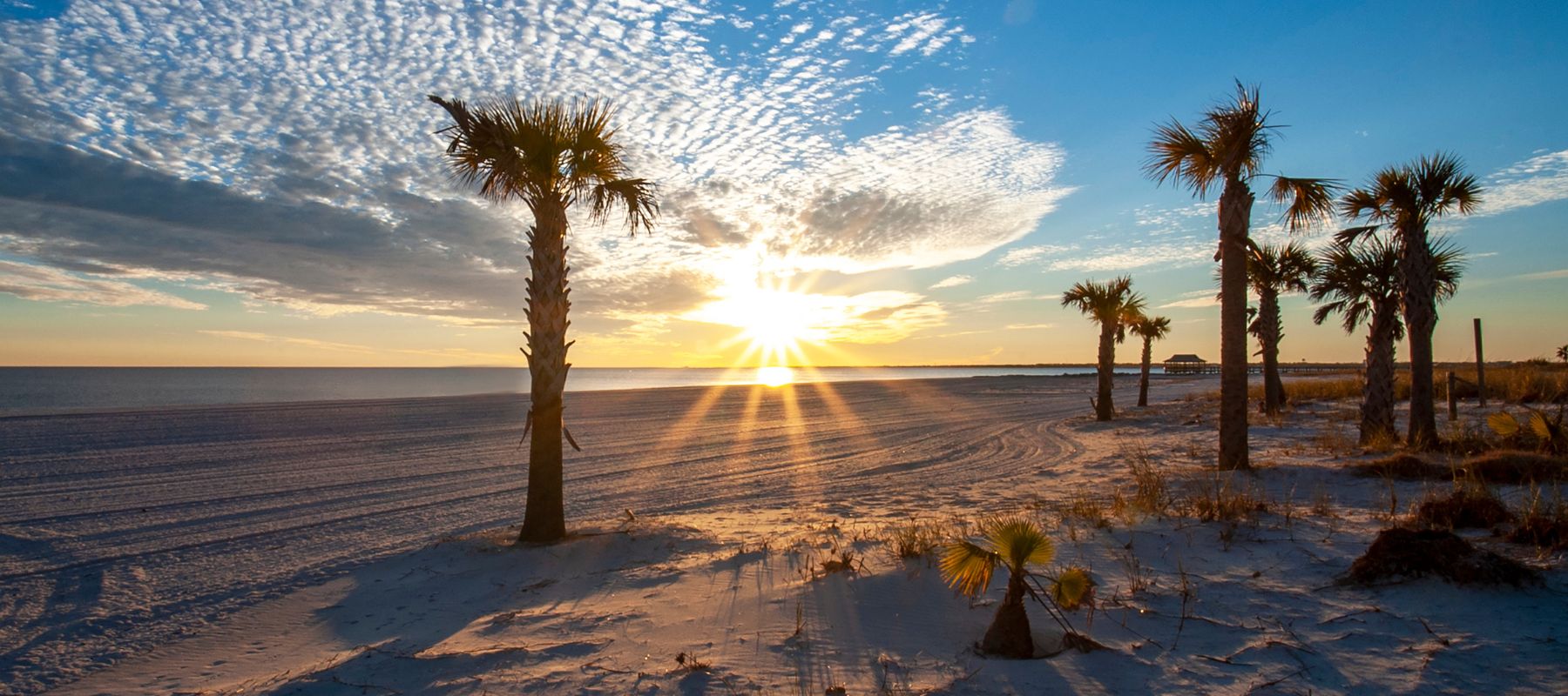 A beautiful sunset casts a golden glow over a sandy beach with scattered palm trees and gentle waves